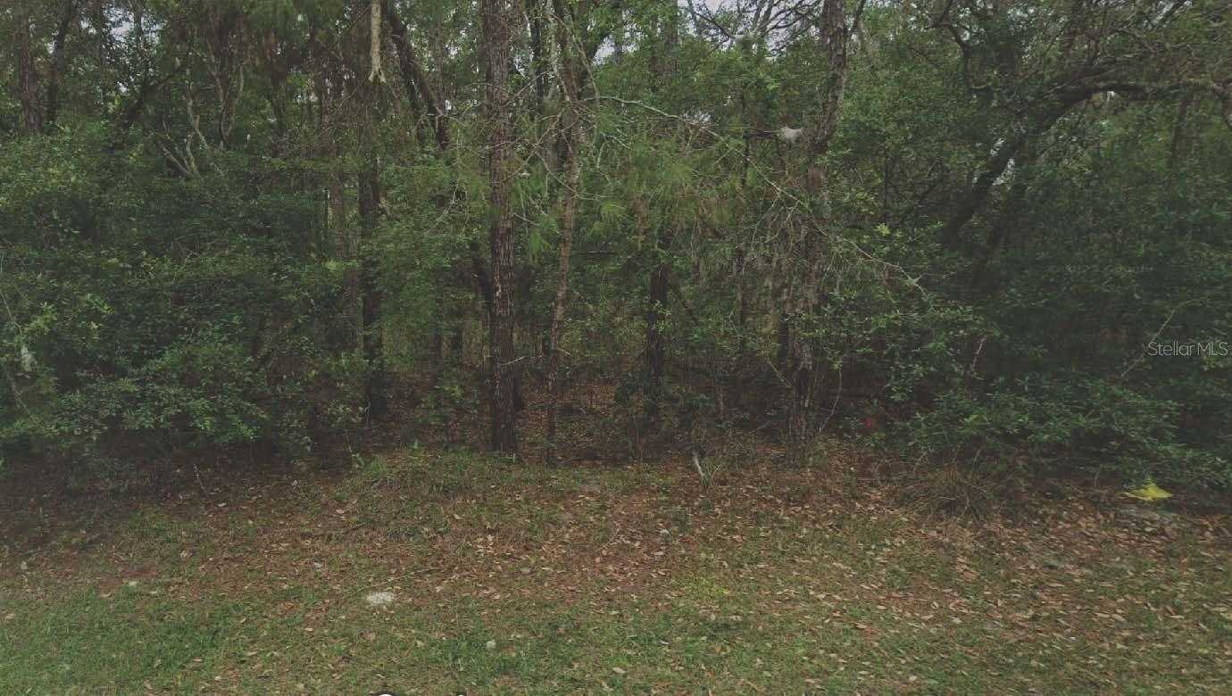 105 RHODE ISLAND AVENUE Satsuma Florida United States, for Sale, commercial, Melissa Lebron, Realty World Ocala