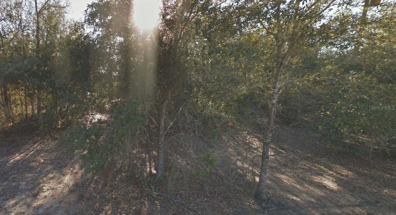 304 CALIFORNIA AVENUE Interlachen Florida United States, for Sale, commercial, Melissa Lebron, Realty World Ocala