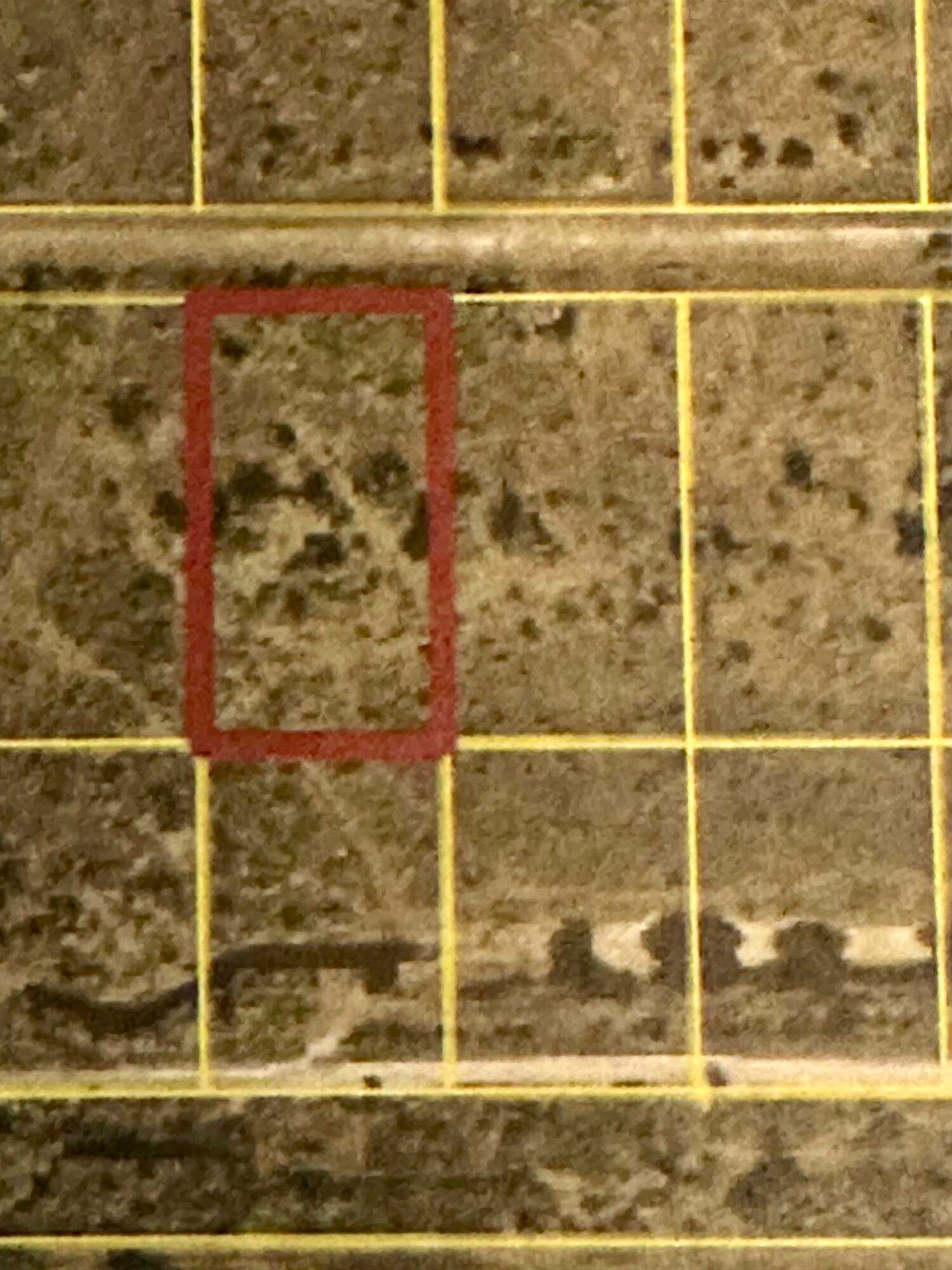 22076 NW 242nd Street Okeechobee Florida United States, for Sale, residential,  , Mixon Real Estate Group, LLC