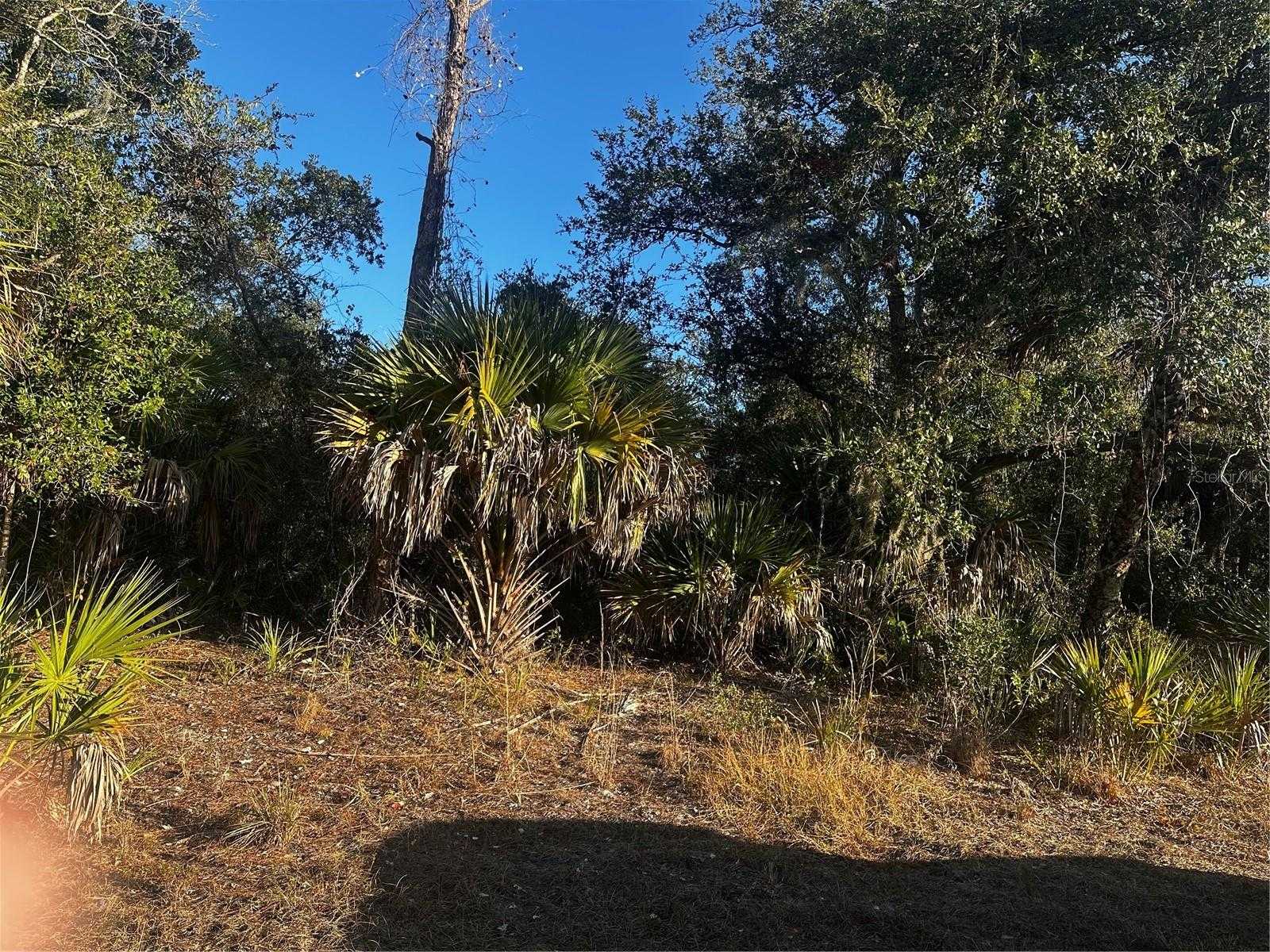 LANAI AVENUE North Port Florida United States, for Sale, commercial, Fritz Wardlow, HomeSmart