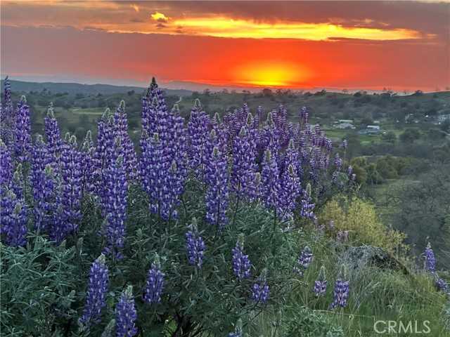 Spinecup Ridge Raymond California United States, for Sale, commercial,  , Excellence Premier Real Estate