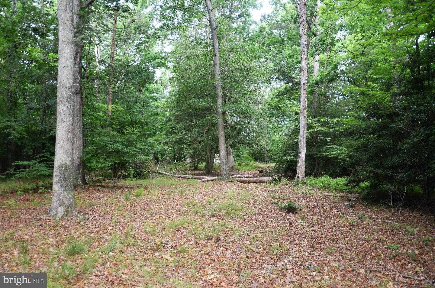 16106 BEALLE HILL ROAD Waldorf Maryland United States, for Sale, commercial,  , Realty World Team One Properties