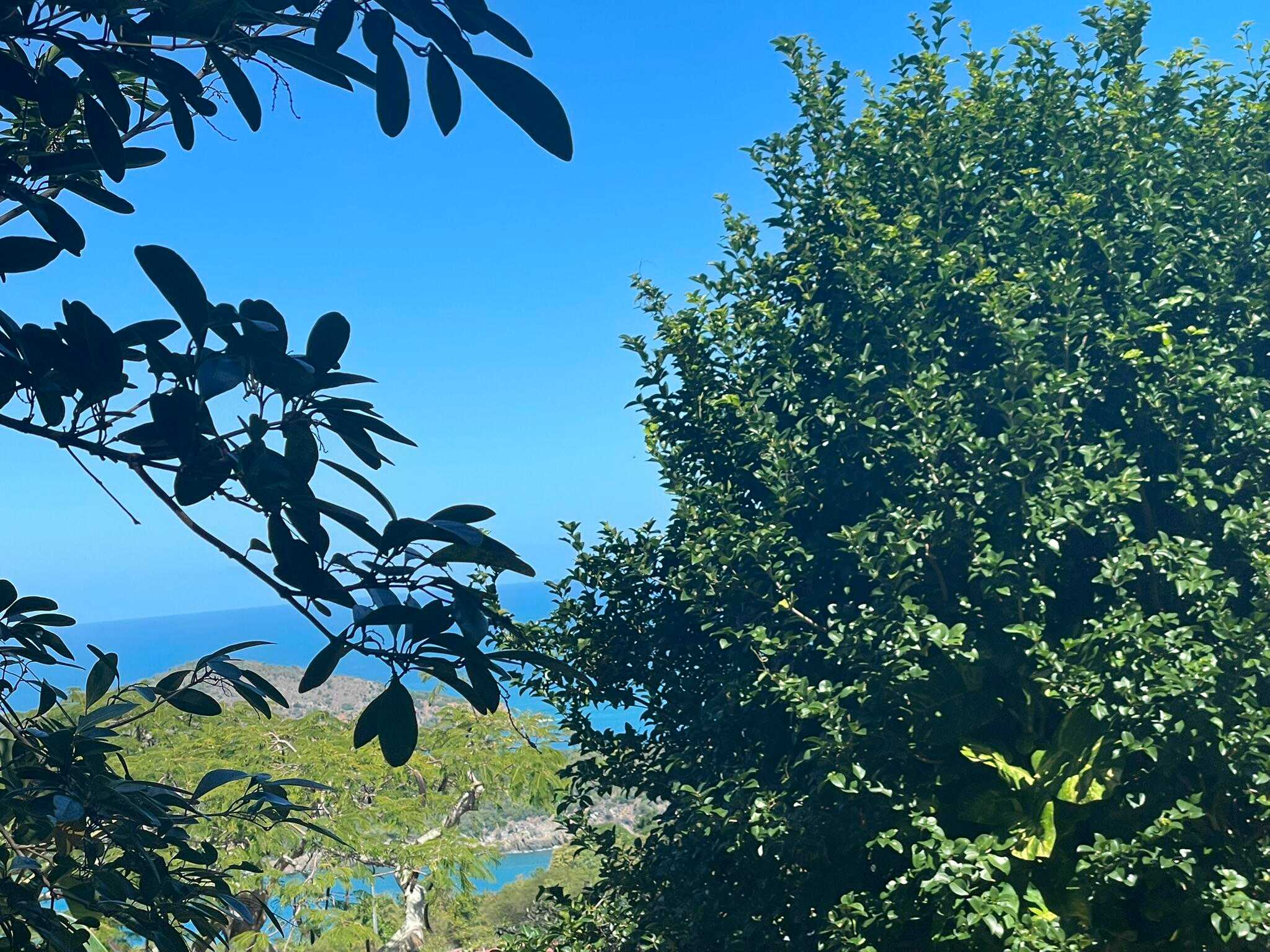 61-B Caret Bay LNS Other Virgin Islands Virgin Islands, for Sale, commercial, Dionne Nelthropp, Hibiscus Homes