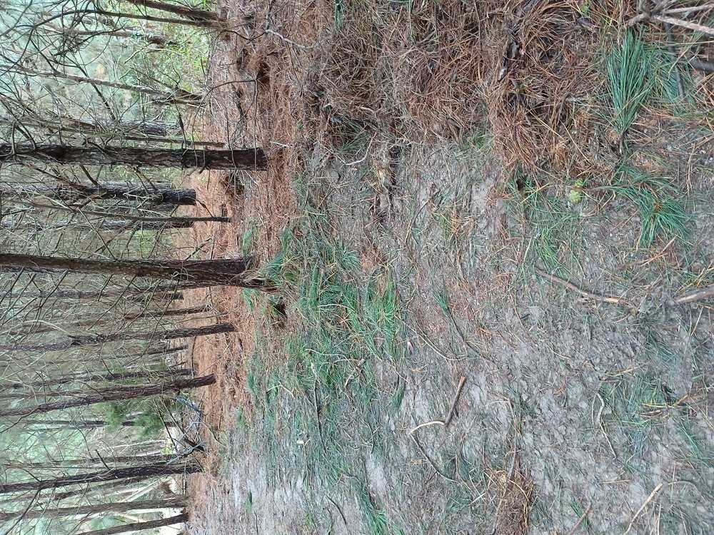 1 Ridge Rd Colonial Beach  United States, for Sale, commercial,  , A Passion For Property Real Estate