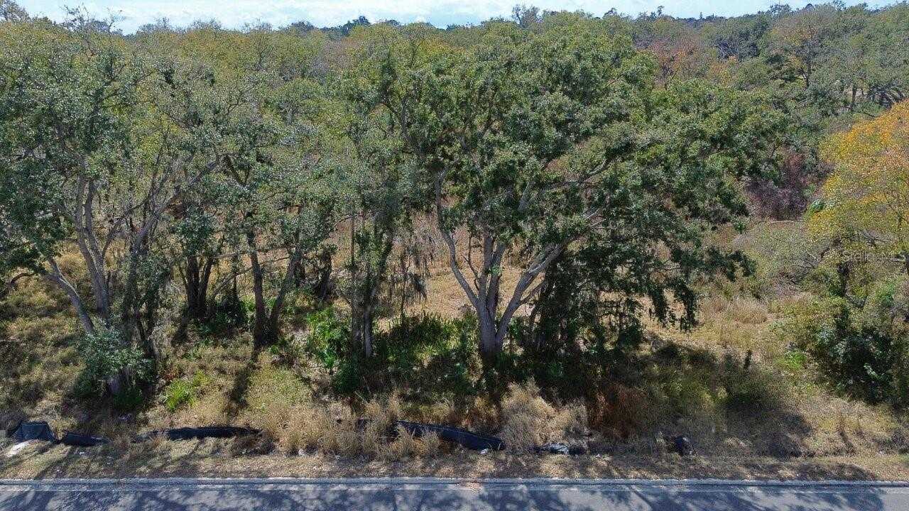 DIANA STREET Tampa Florida United States, for Sale, commercial, Sunny Sidhu, RE/MAX Premier Group