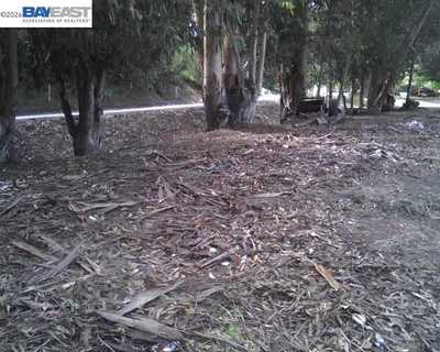 Morrison Canyon Rd, 41123705, Fremont, Vacant Land / Lot,  for sale - Olga Lopez, REALTY EXPERTS