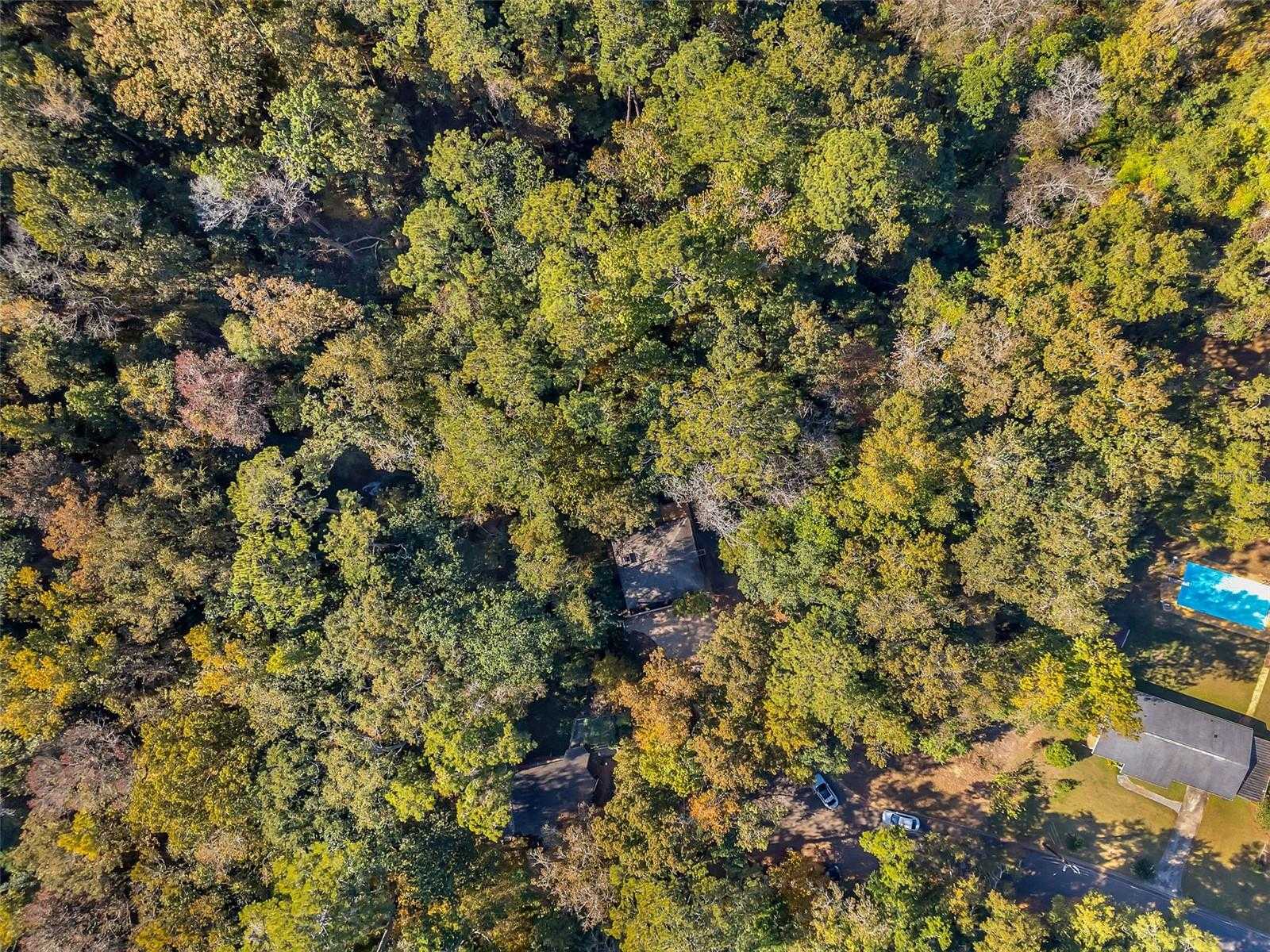 GLENNIS COURT Tallahassee Florida United States, for Sale, commercial, Michael  Lee, Flamingo Realty of Tallahassee, LLC