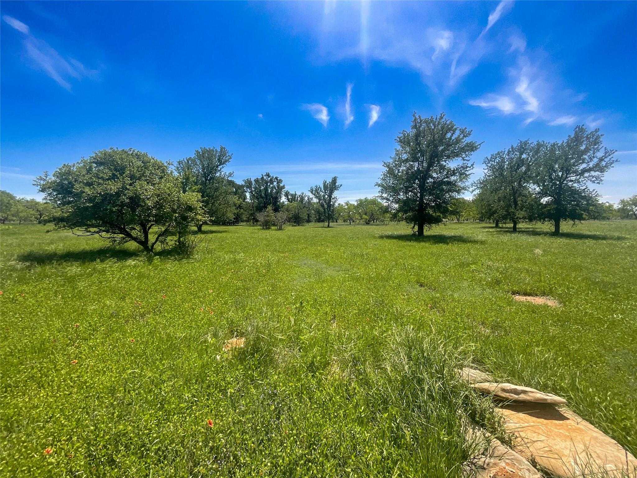 2429 County Road 411 Brownwood Texas United States, Sale Pending, residential,  , Black Dog Realty Group
