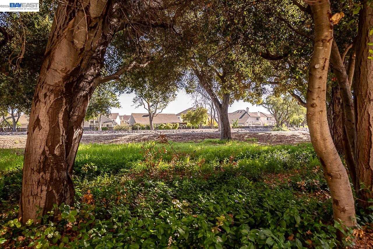 33479 Alvarado Niles Rd, Union City · 2019 Townhome at Monarch at Soares Ranch | Open House Saturday May 9 · $1,175,000, Photo 55