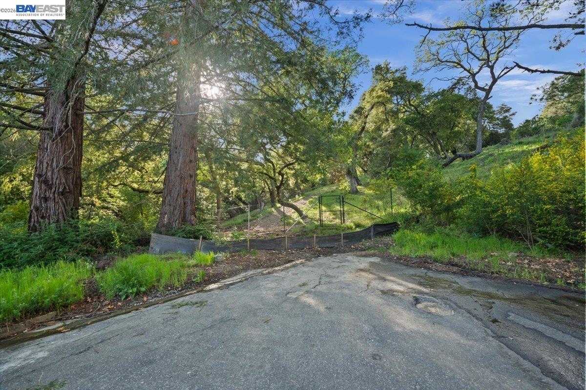 Silverwood Dr Lafayette California United States, for Sale, commercial,  , Realty World - Champions