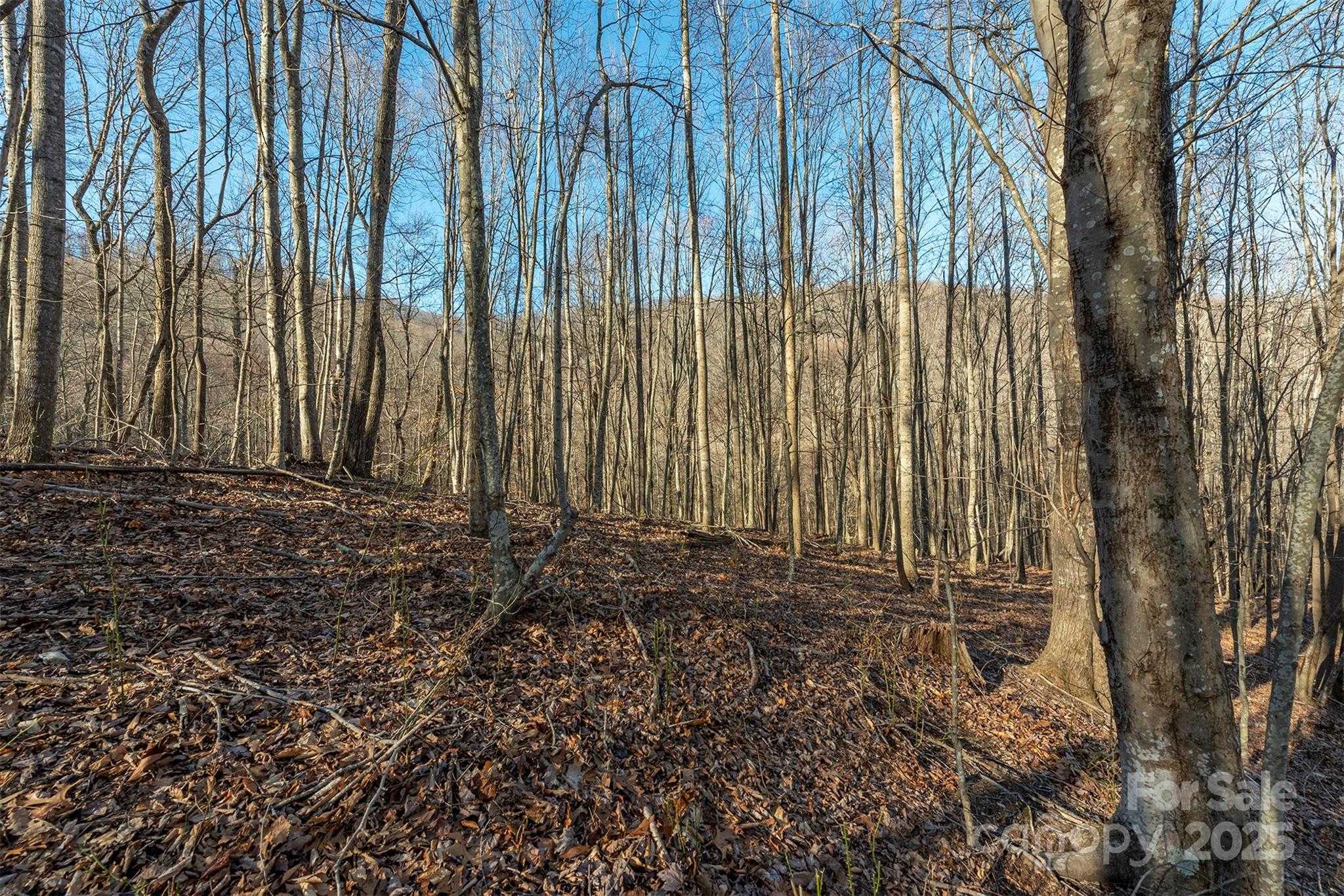 885 Stoney Stream Lane Arden North Carolina United States, for Sale, commercial, Toby Davis, RE/MAX RESULTS REALTY