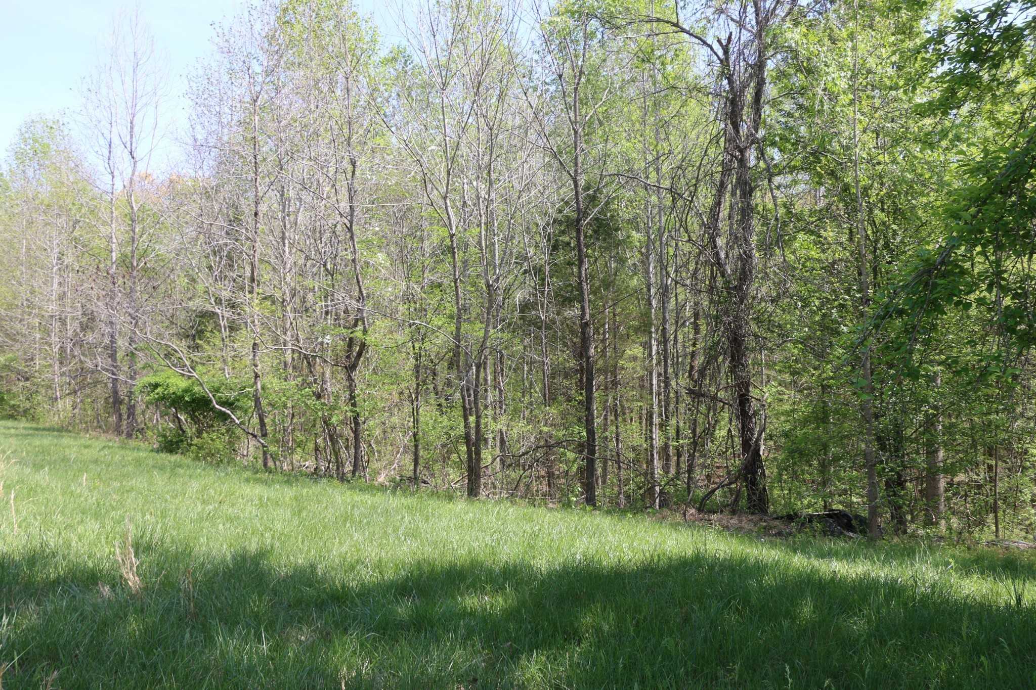 820 New Rd Clarksville Tennessee United States, for Sale, commercial, Rebekah  Sprabary, Sweet Home Realty & Property Management