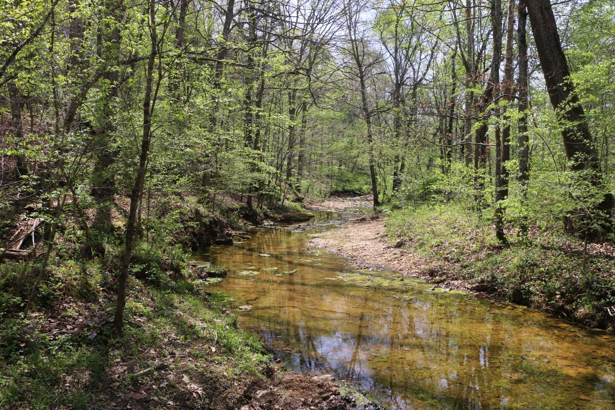 820 New Rd Clarksville Tennessee United States, for Sale, commercial, Rebekah  Sprabary, Sweet Home Realty & Property Management