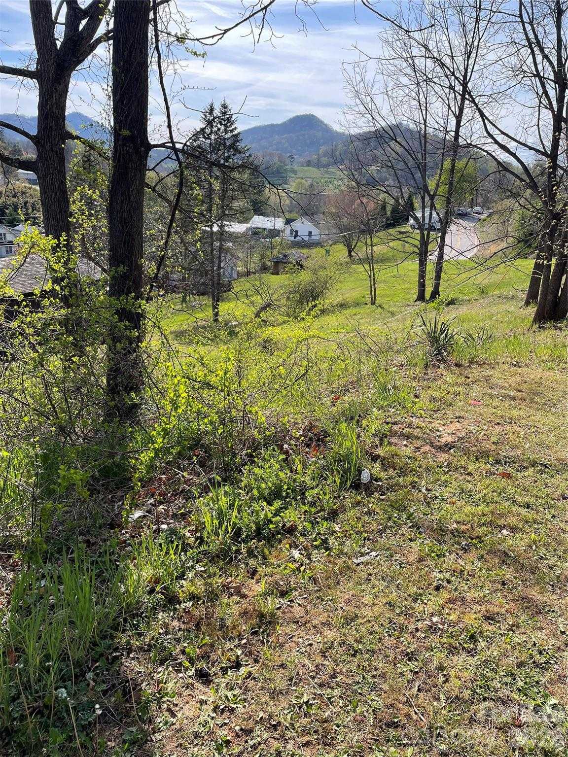 Locust Street Canton North Carolina United States, for Sale, commercial, Jaci Reynolds, RE/MAX Executive