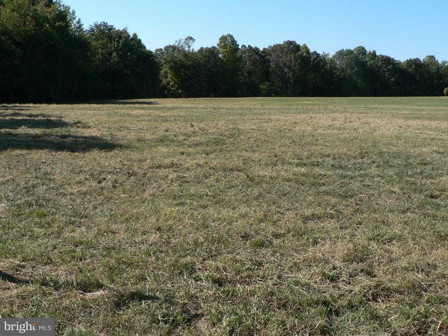 LOCUST GROVE ROAD Bowling Green Virginia United States, Sold, commercial,  , HomeLife Access Realty
