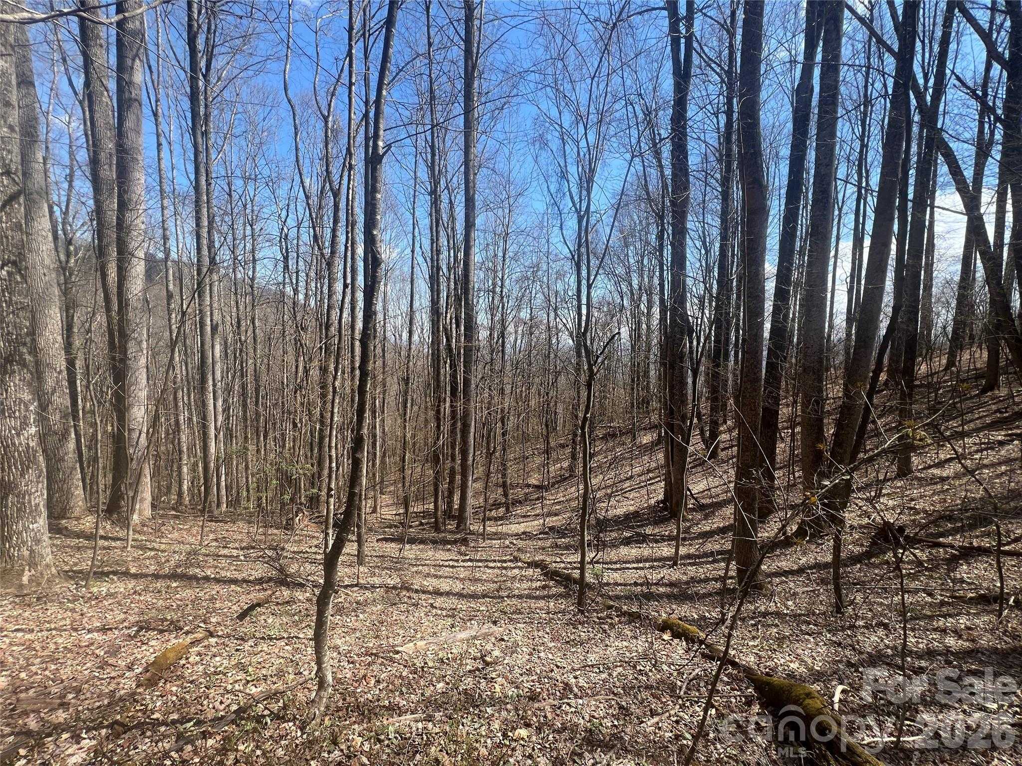 200 Wolverine Court APT 44 Waynesville North Carolina United States, for Sale, commercial, Jaci Reynolds, RE/MAX Executive