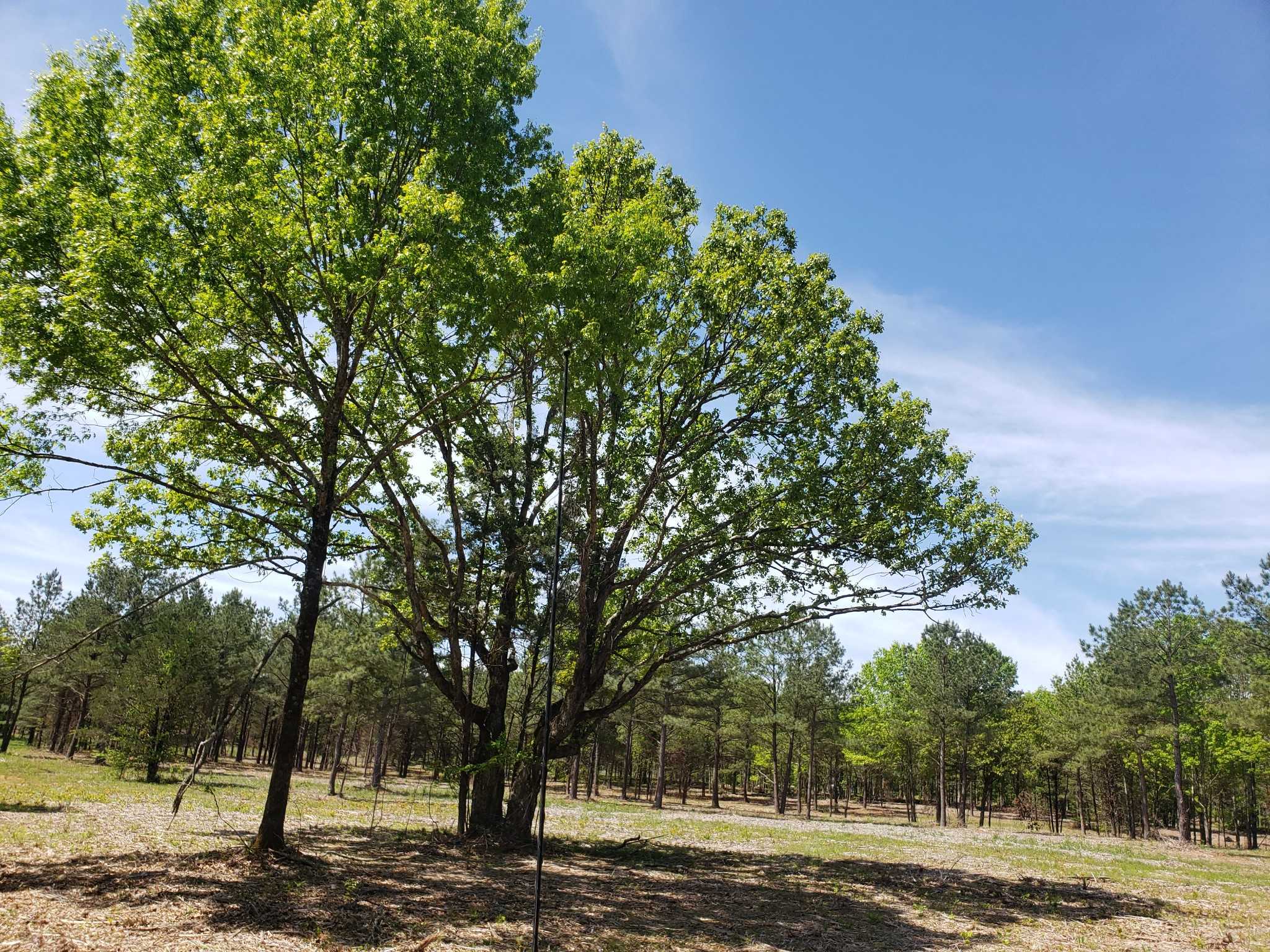 Kedron Rd Spring Hill Tennessee United States, for Sale, commercial,  Gabe  Fitzhugh, GF Homes and Land