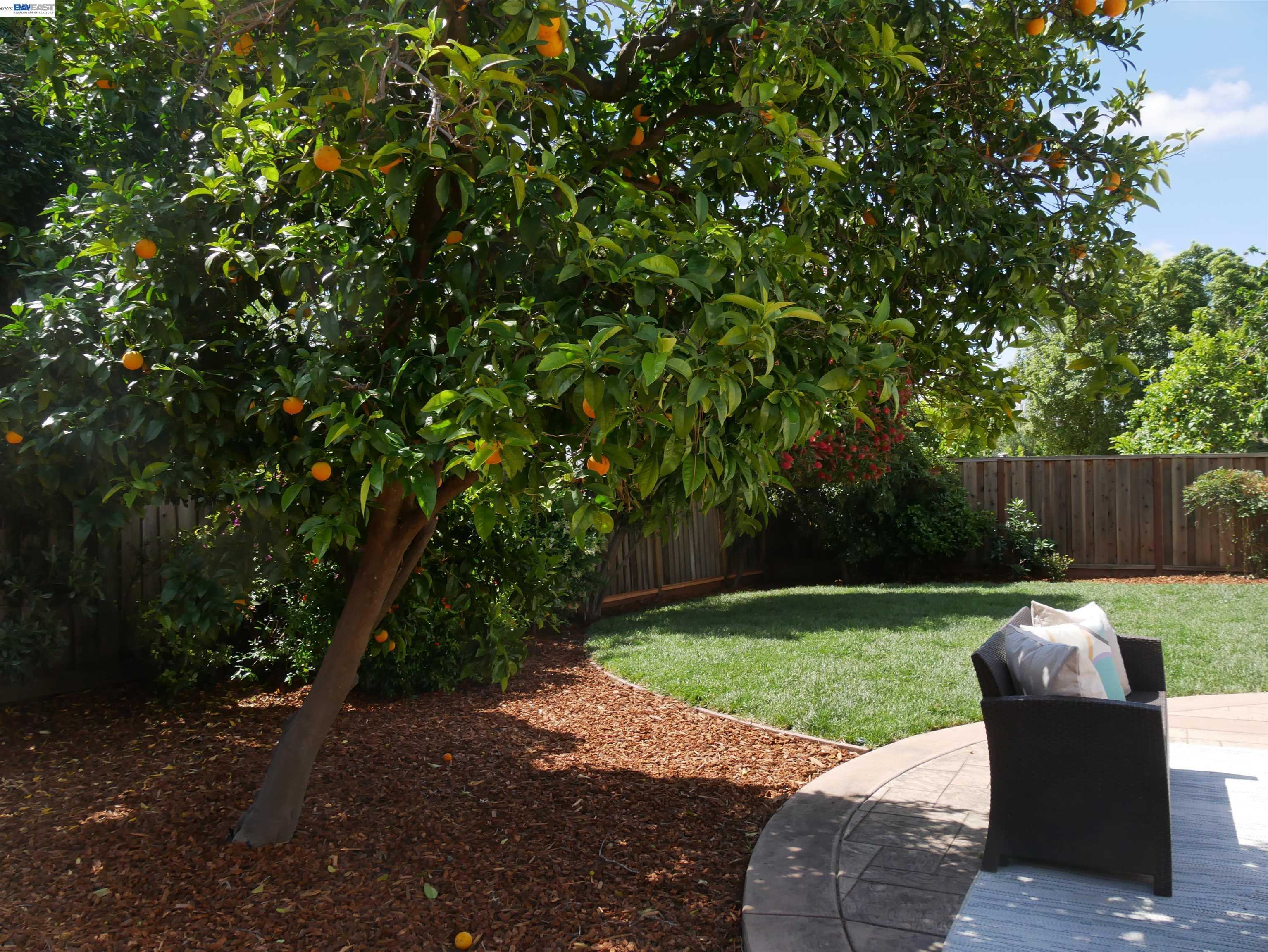 249 Imperio Avenue, Fremont — Photo 40