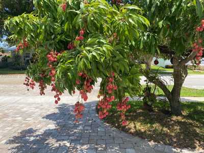 1251 SW 11th Ter , Boca Raton, Single-Family Home,  for sale - Pierre J Denis, Realty 100