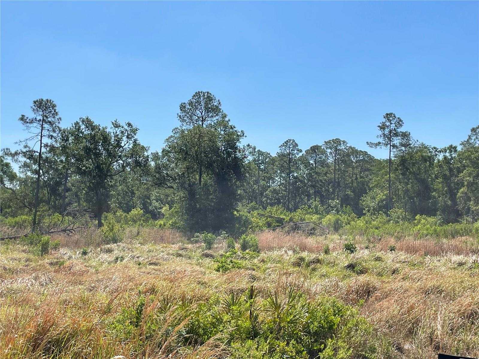 AVONWOOD Tampa Florida United States, for Sale, commercial, Sunny Sidhu, RE/MAX Premier Group