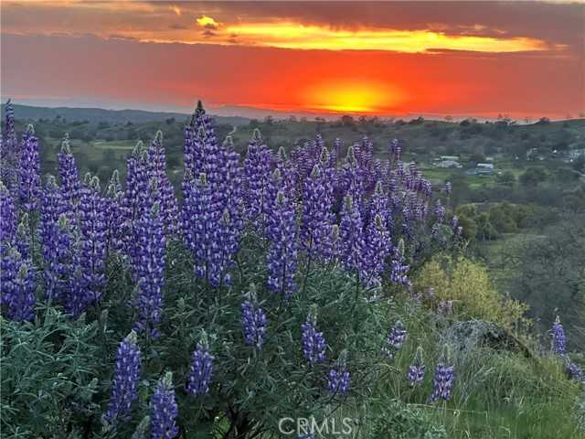 Spinecup Ridge Raymond California United States, Sold, commercial,  , Excellence Premier Real Estate