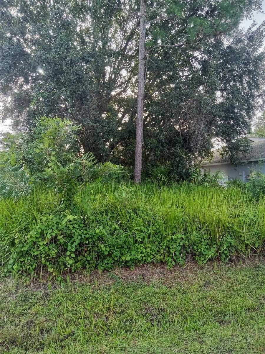 MARICOPA DRIVE Kissimmee Florida United States, for Sale, commercial,  , Florida Top Realty