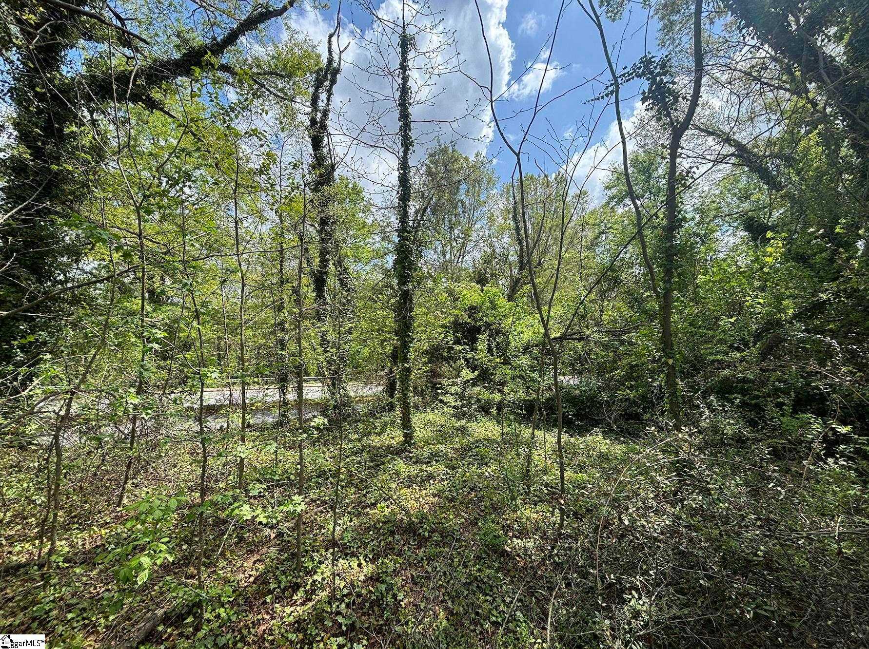 Ansel Spartanburg South Carolina United States, for Sale, commercial,  , Valentine Realty Group