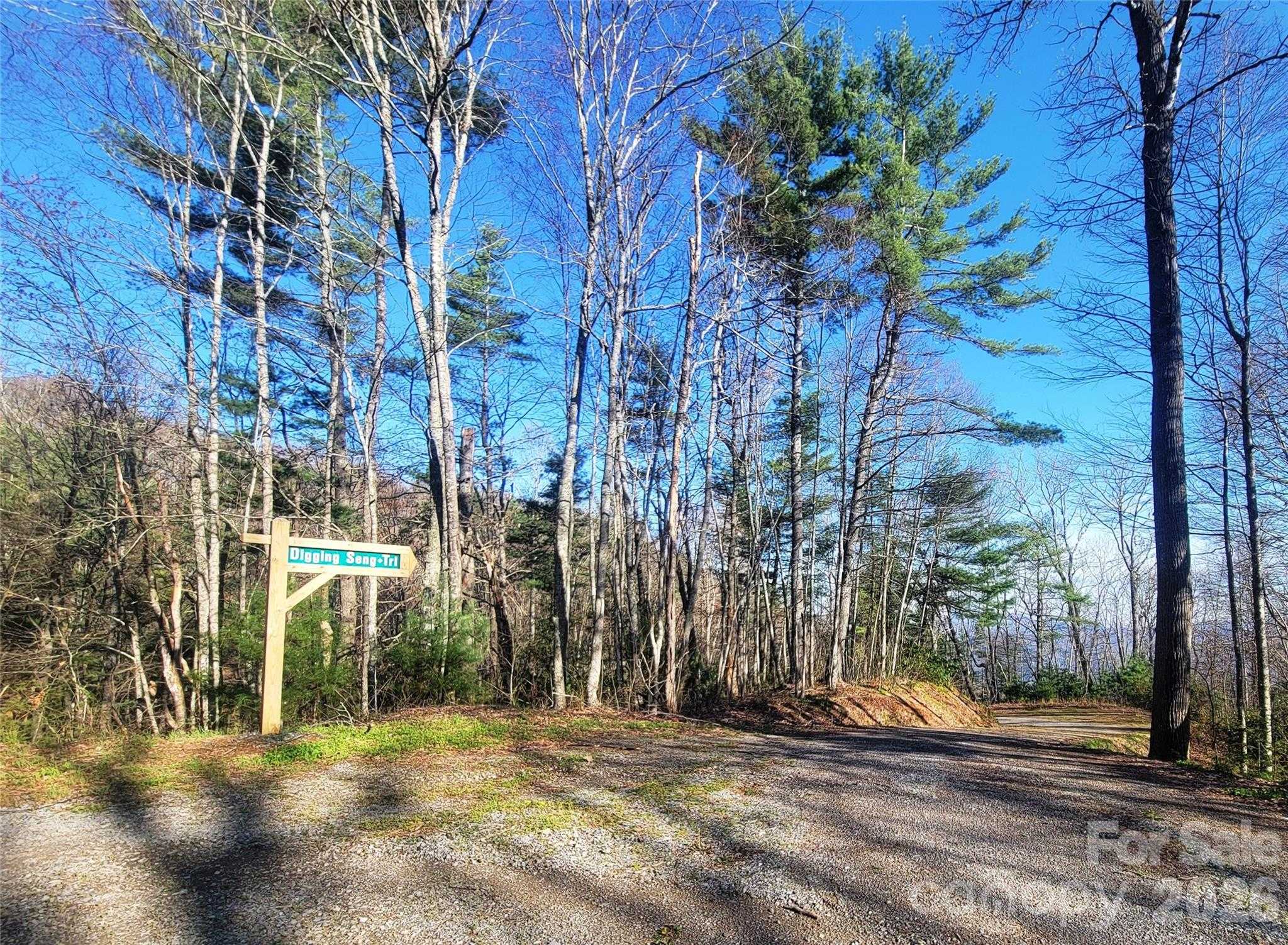 111 Digging Seng Trail APT 138 Waynesville North Carolina United States, for Sale, commercial, Jaci Reynolds, RE/MAX Executive