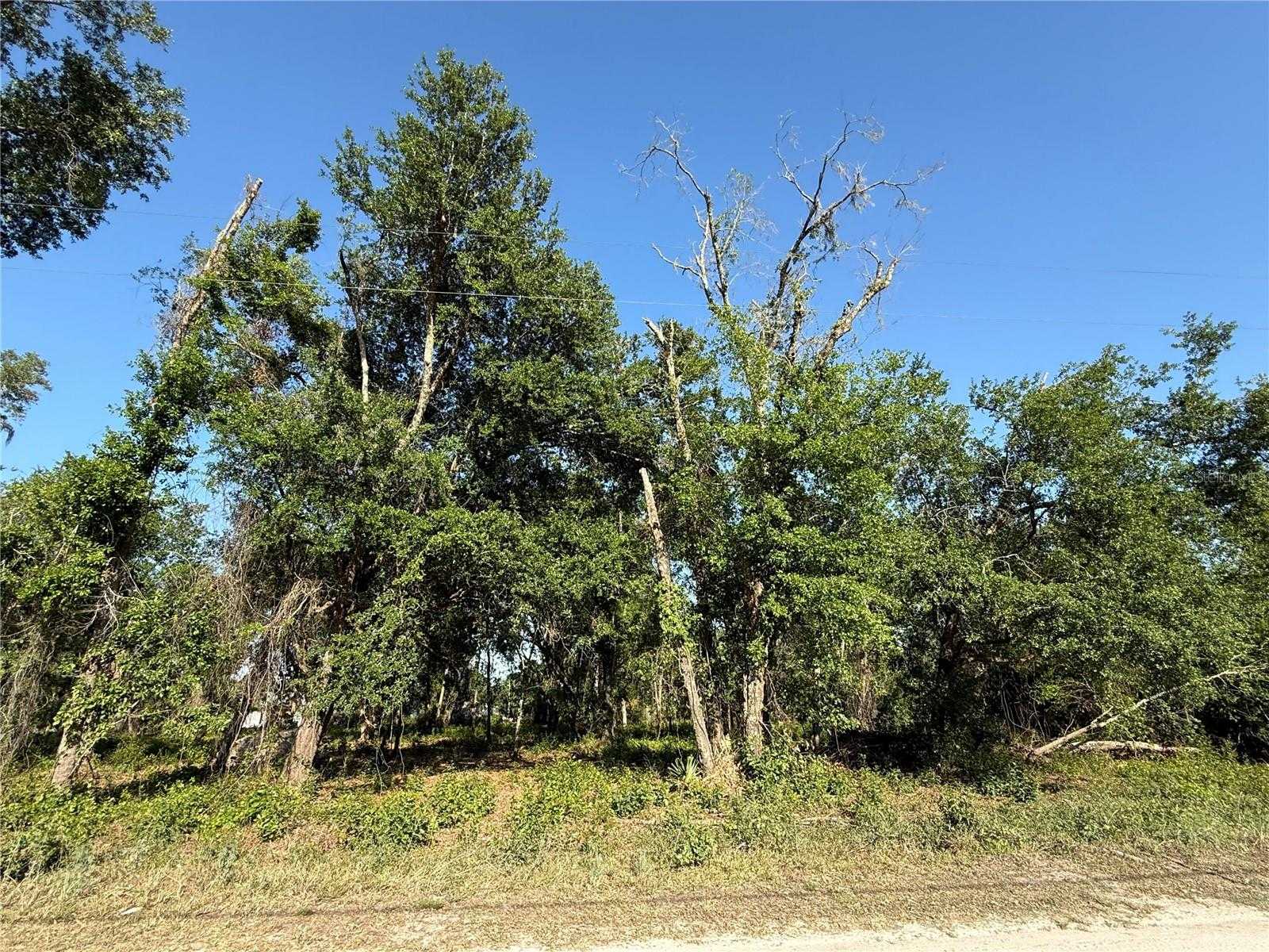 OWENS DRIVE Zephyrhills Florida United States, for Sale, commercial, Sunny Sidhu, RE/MAX Premier Group