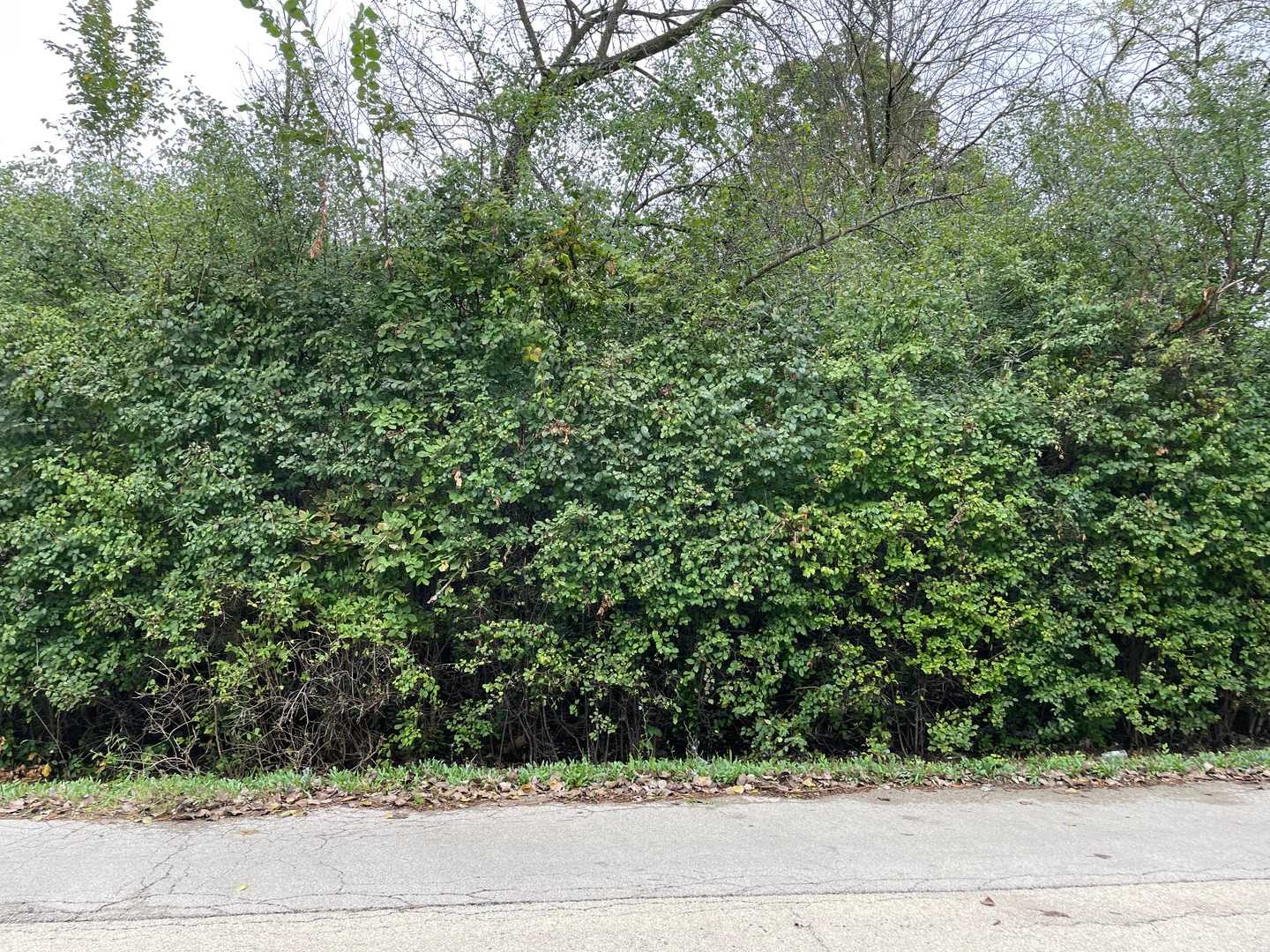 Redbud Drive Joliet Illinois United States, for Sale, residential,  , Alpha 7 Realty