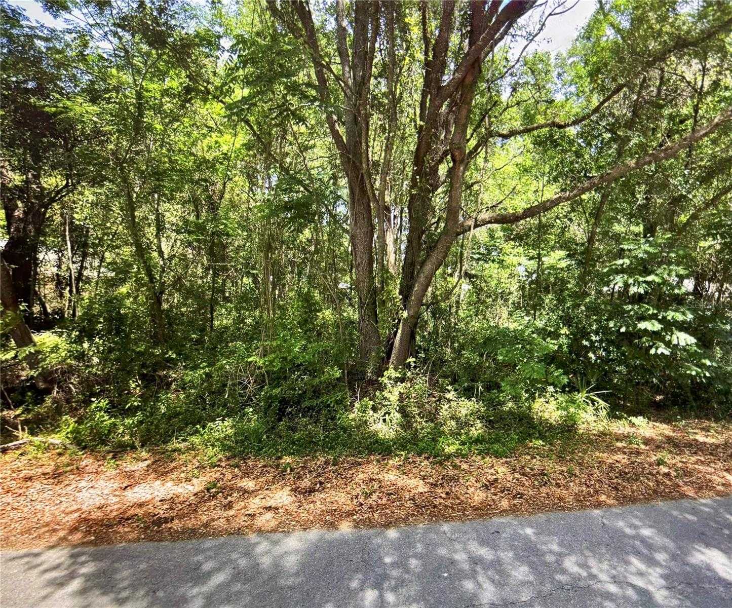 41 PINE TRACE COURSE Ocala Florida United States, for Sale, commercial, , Hook & Ladder Realty of Central Florida LLC
