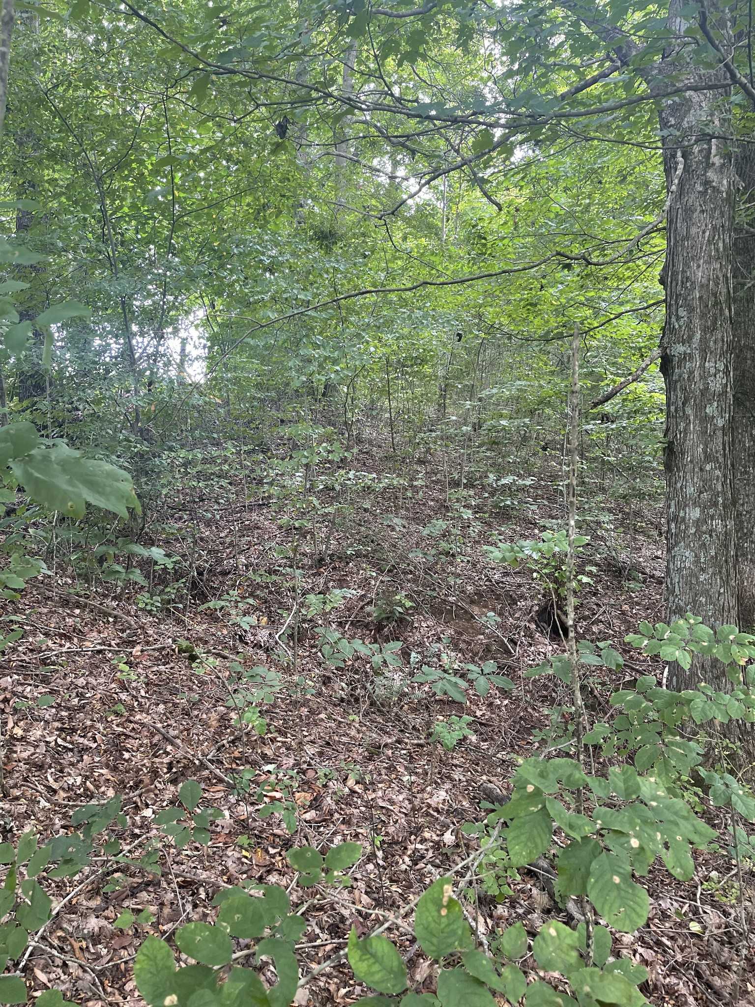 HWY 52 bypass west  W Lafayette Tennessee United States, for Sale, residential,  , Incom Sample Office