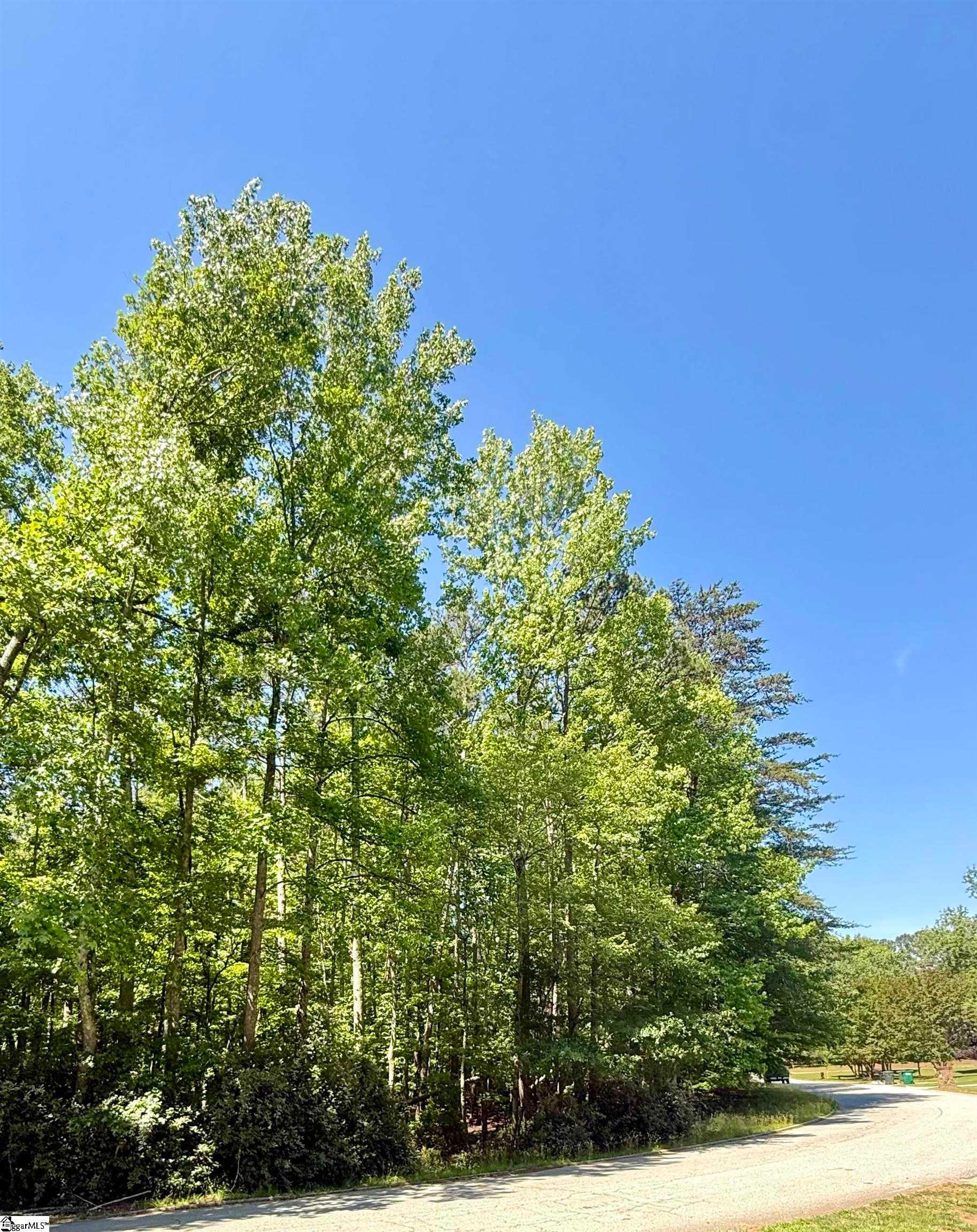 Woodwind Spartanburg South Carolina United States, for Sale, commercial,  , Valentine Realty Group