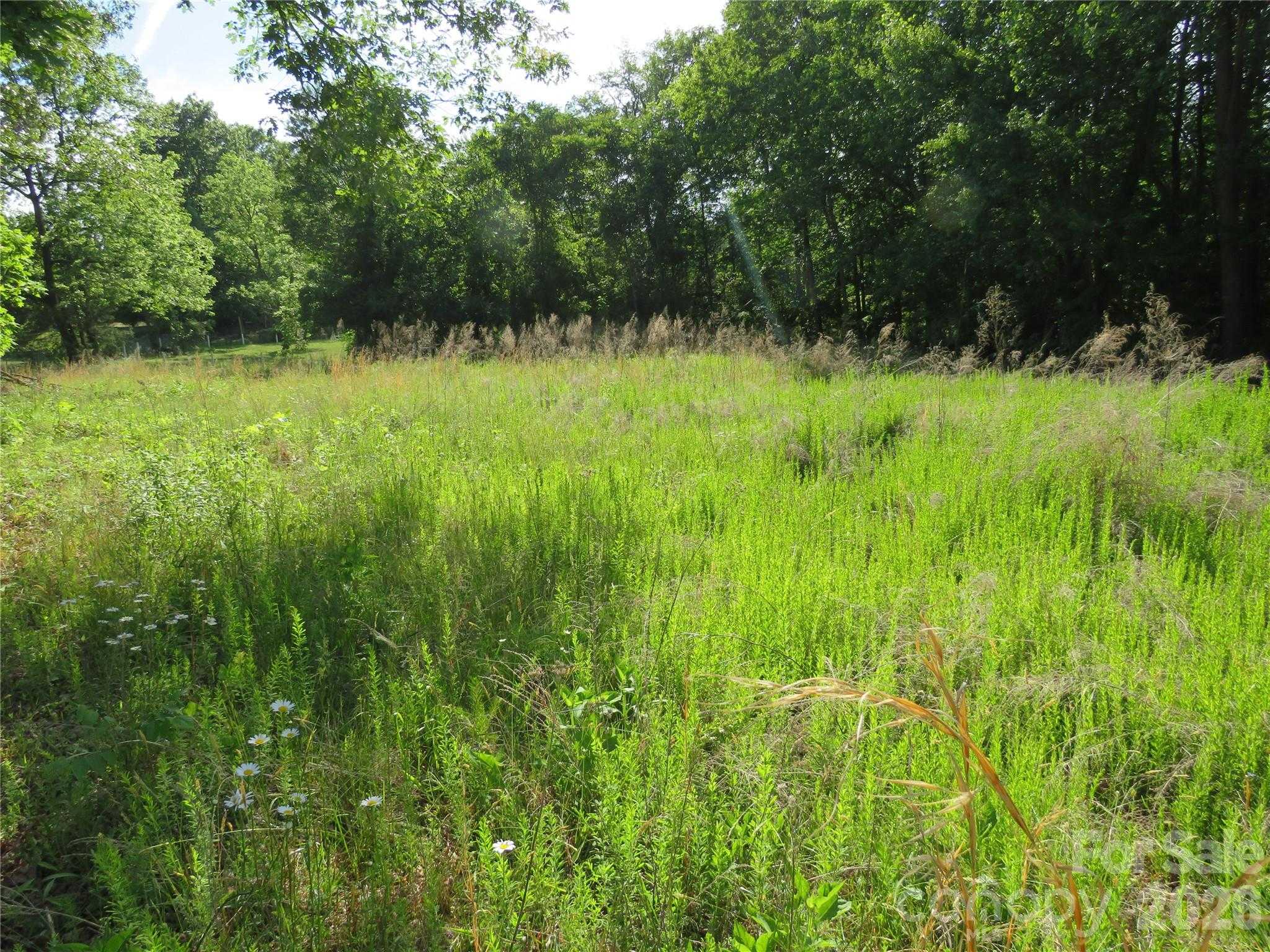 Blue Sapphire Lane Rutherfordton North Carolina United States, for Sale, commercial,  , 4 Seasons Homes and Land Inc.