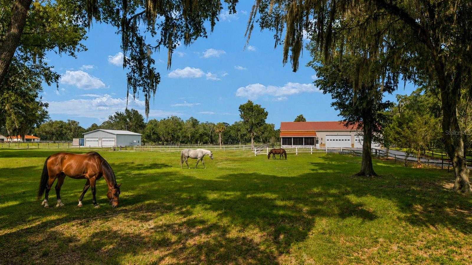 2035 NW 150TH AVENUE Ocala Florida United States, for Sale, residential, Garrett Huffman, eXp Realty