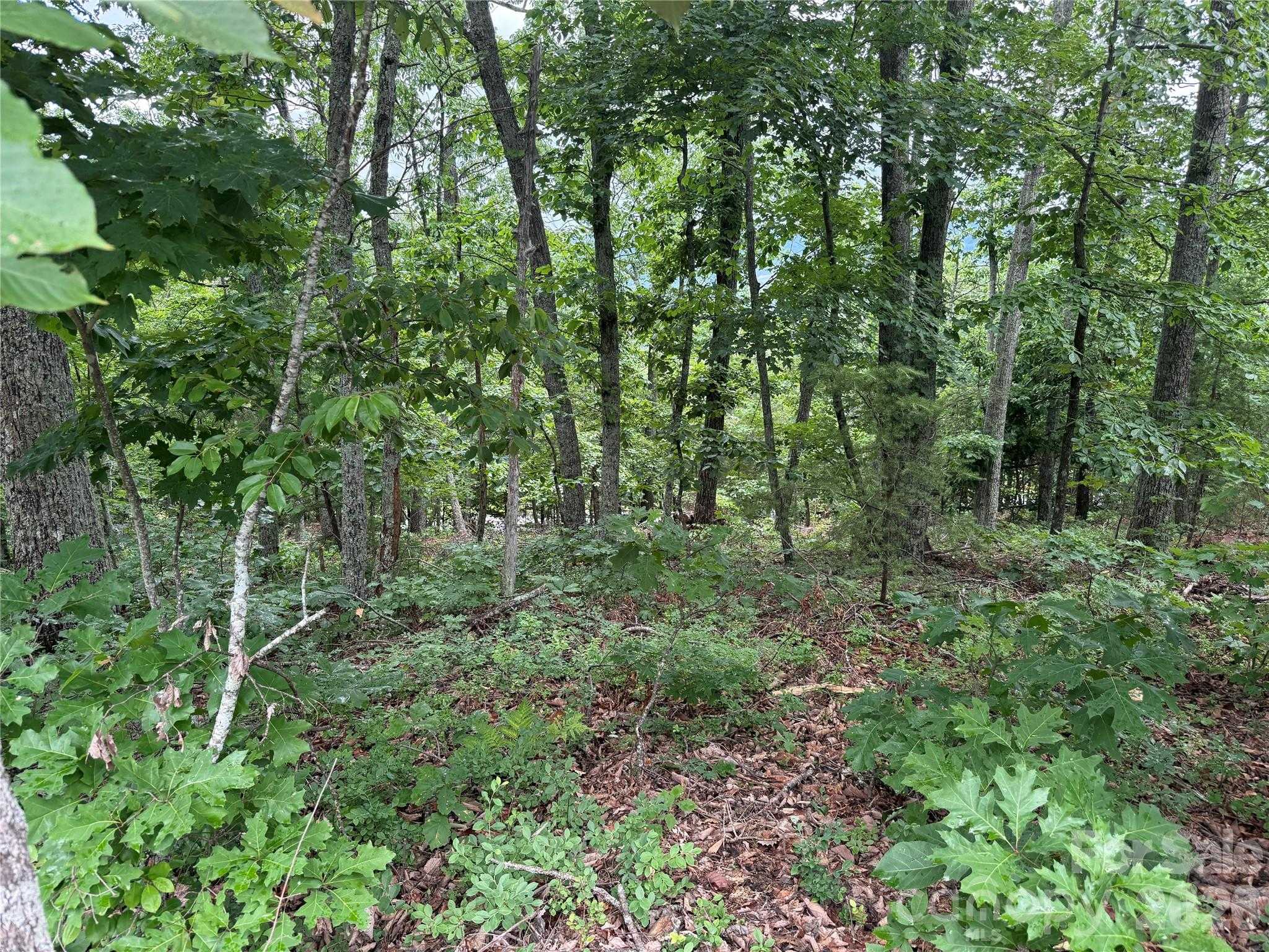 Arbra Mountain Way APT 54 Bostic North Carolina United States, for Sale, commercial,  , 4 Seasons Homes and Land Inc.