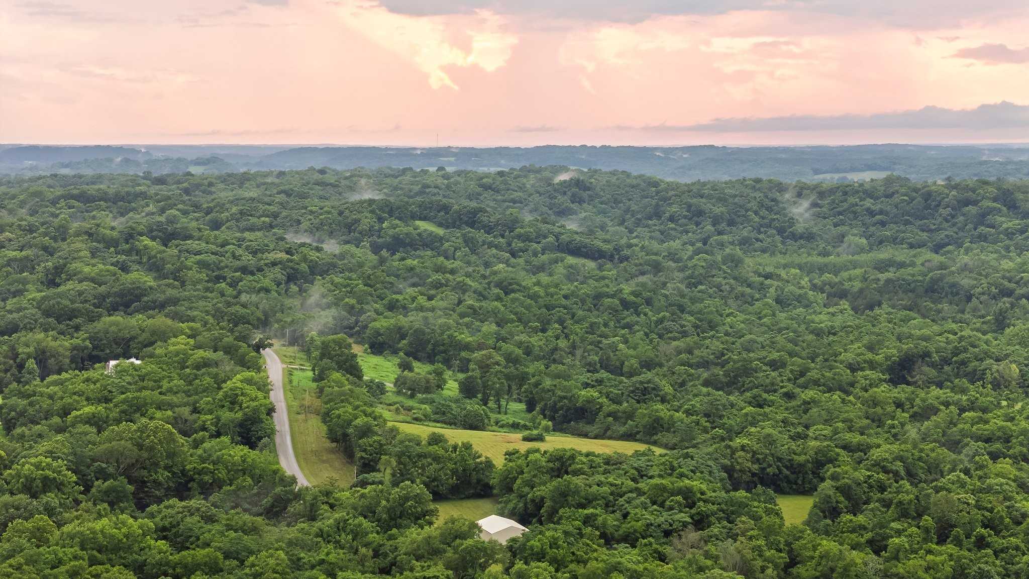 Stephens Road Columbia Tennessee United States, for Sale, commercial,  Gabe  Fitzhugh, GF Homes and Land