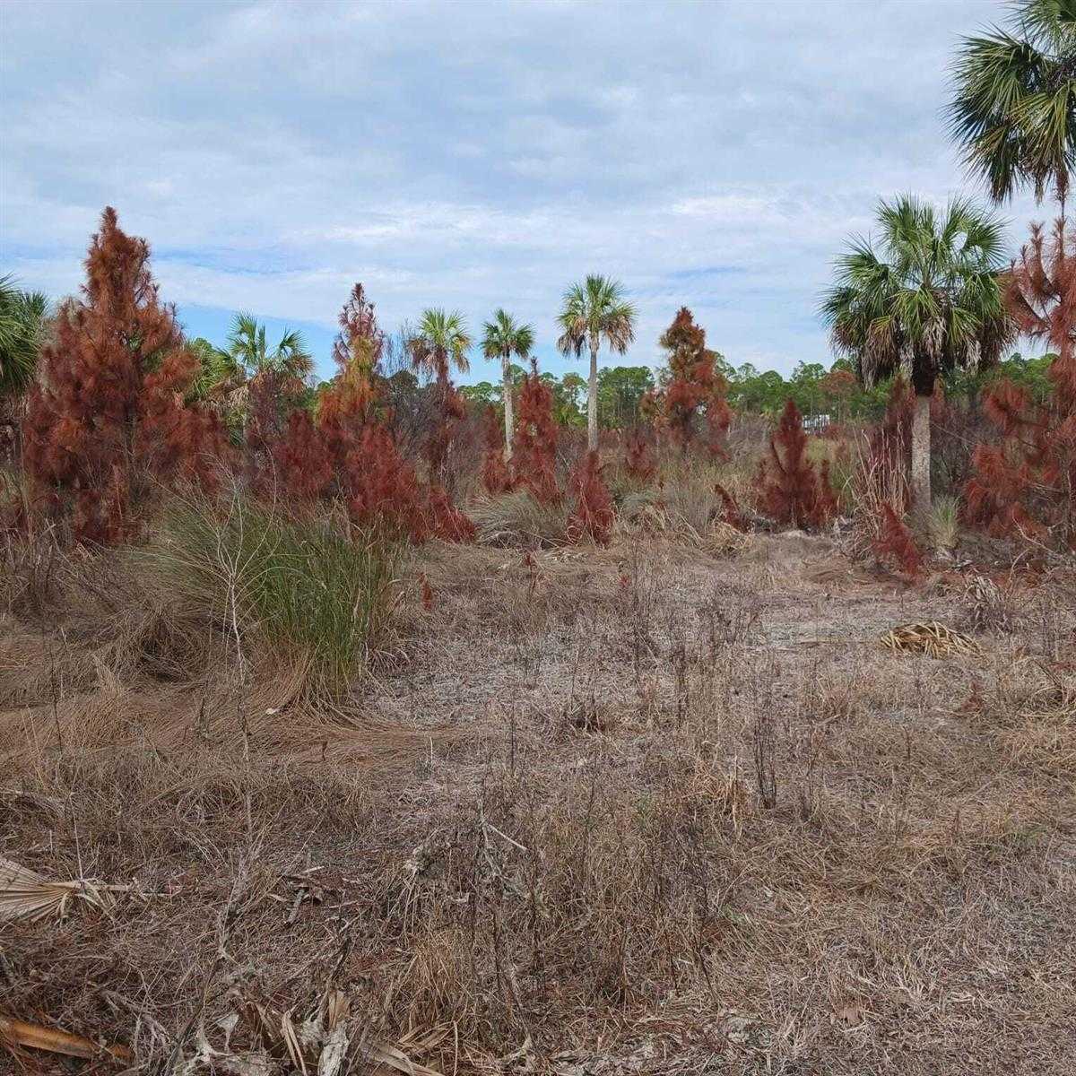 SW 153rd Terrace  Florida United States, for Sale, commercial,  , Phoenix Realtors LLC
