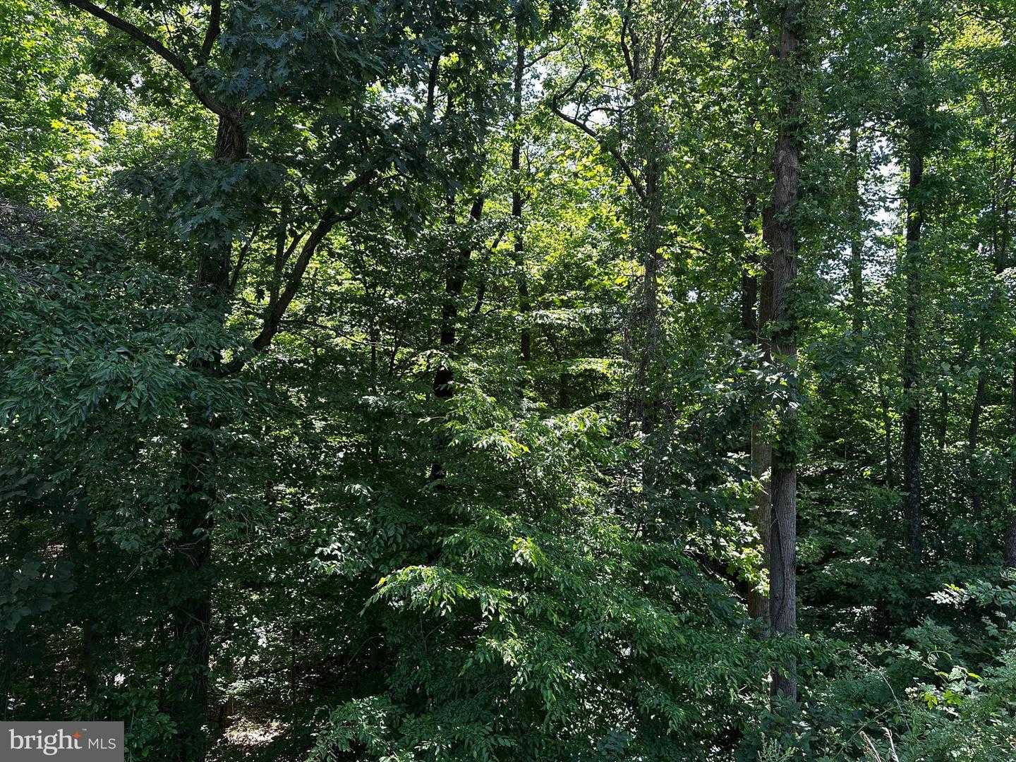 17201 INTERSTATE DRIVE Dumfries Virginia United States, for Sale, commercial,  , The Holly Group