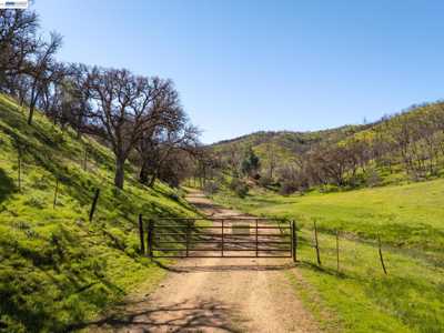 15676 W Corral Hollow Rd , 41140916, Tracy, Vacant Land / Lot,  for sale - Olga Lopez, REALTY EXPERTS