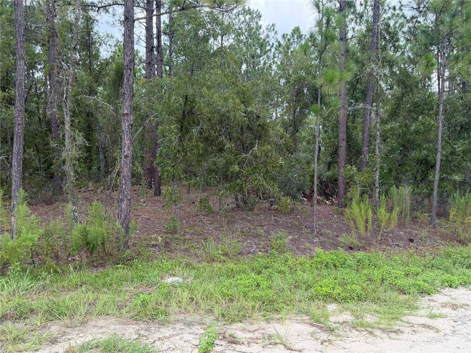 SW 131 AVENUE Ocala Florida United States, for Sale, commercial,  , The Mount Dora Group 