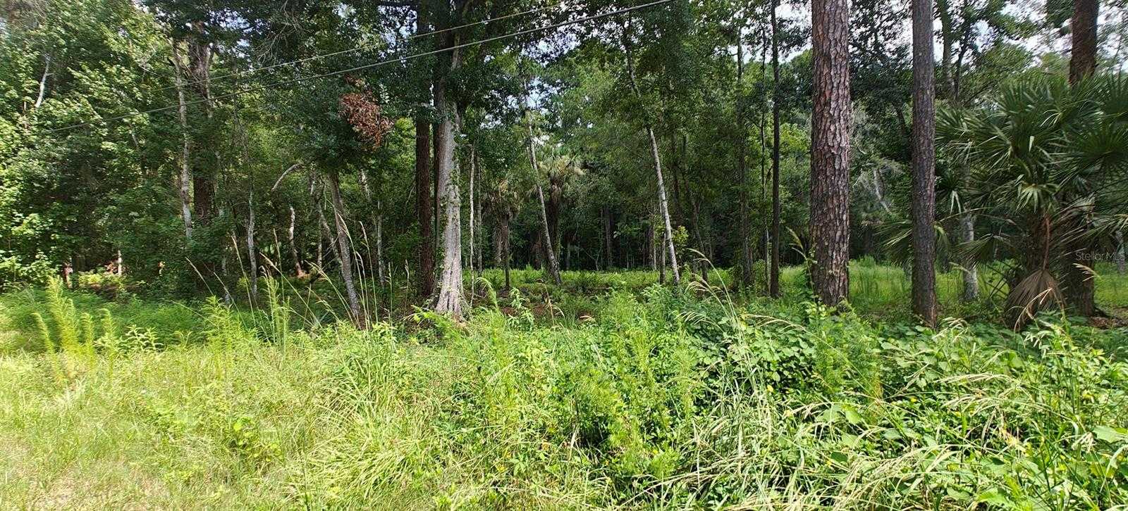 8401 AMELIA TRAIL Kissimmee Florida United States, for Sale, commercial,  , Florida Top Realty