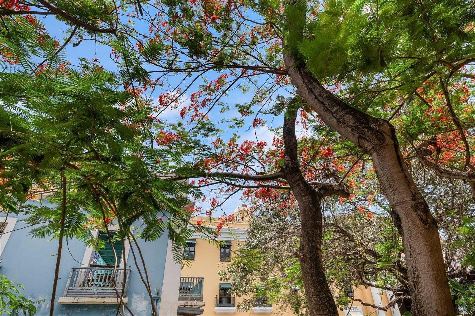 70 CALETA DE SAN JUAN  APT 2 Old San Juan Puerto Rico United States, for Rent, residential,  , VIDA URBANA INC