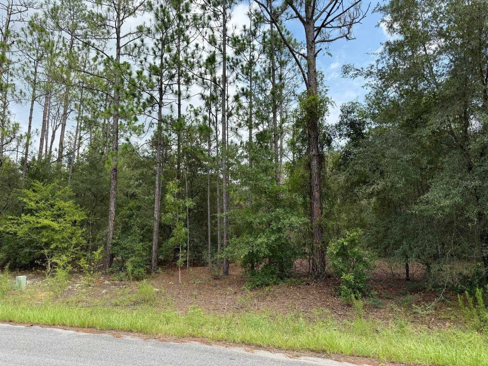 6461 N ELNORA WAY Citrus Springs Florida United States, for Sale, commercial,  , The Mount Dora Group 