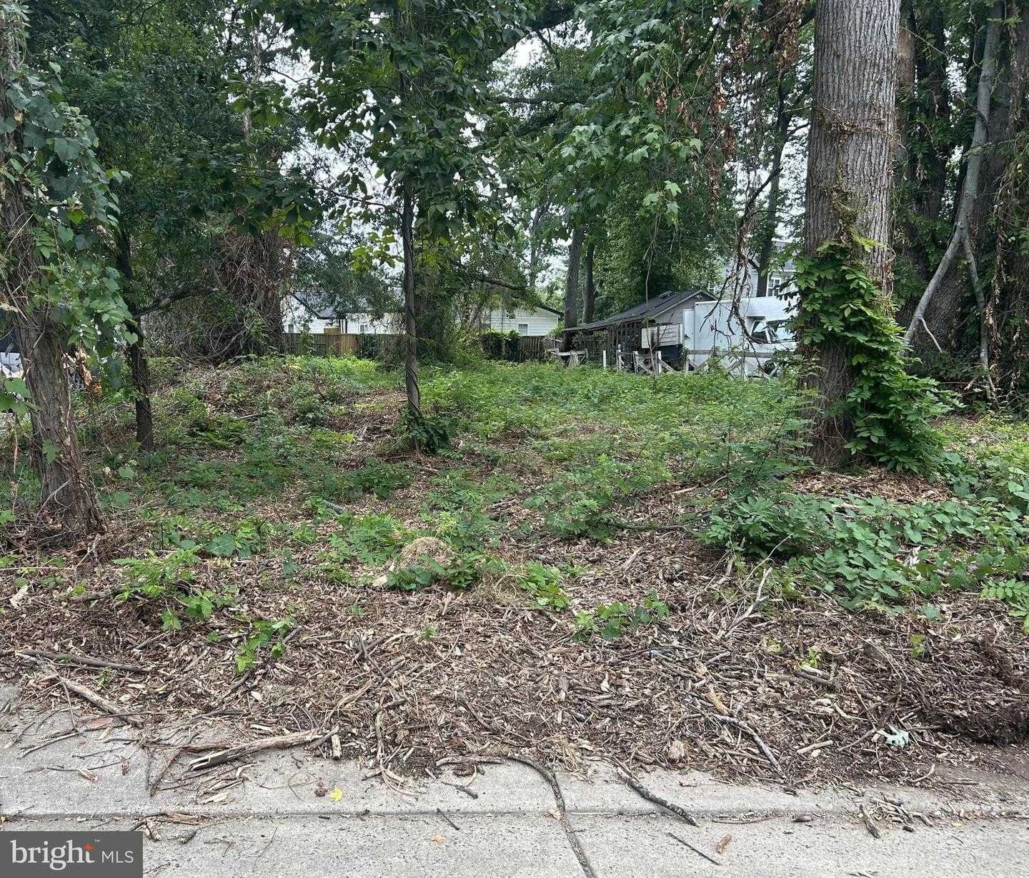 7814 BELVEDERE DRIVE Alexandria Virginia United States, for Sale, commercial,  , The Holly Group