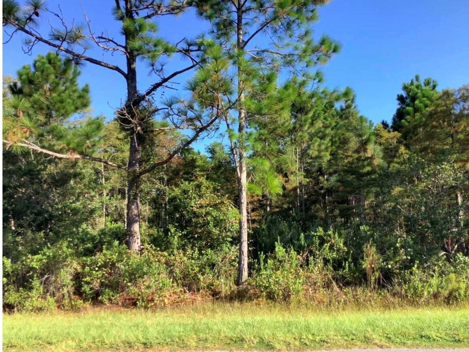 RALSTON STREET Orlando Florida United States, for Sale, commercial, Ken Anderson, ApexOne Realty, Inc.