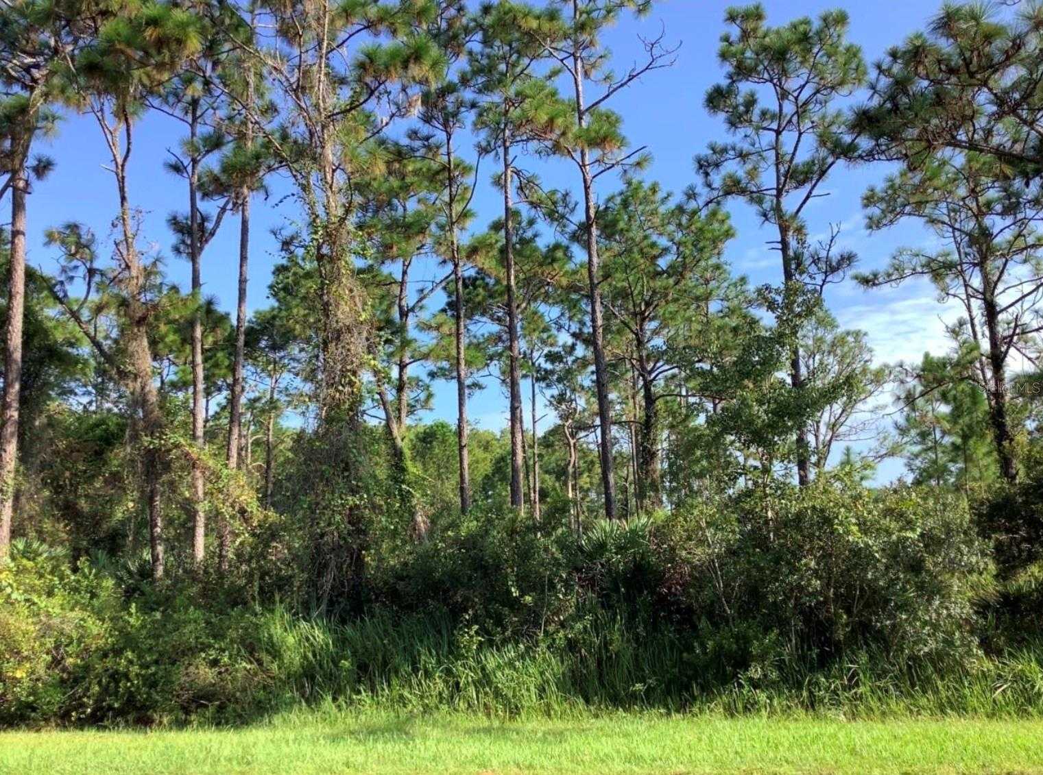 QUINELLA STREET Orlando Florida United States, for Sale, commercial, Ken Anderson, ApexOne Realty, Inc.