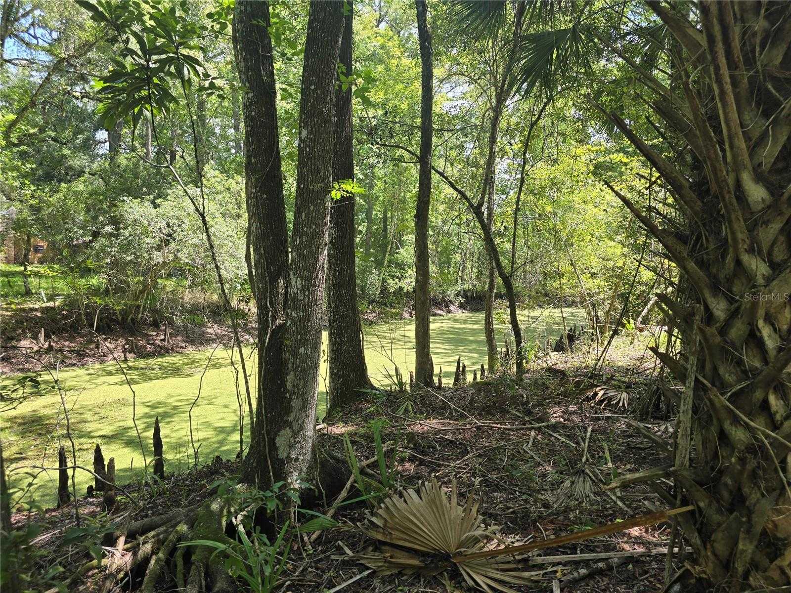 7521 S CLAY TERRACE Floral City Florida United States, for Sale, commercial, Sylvia  Lusink, Re/Max Preferred