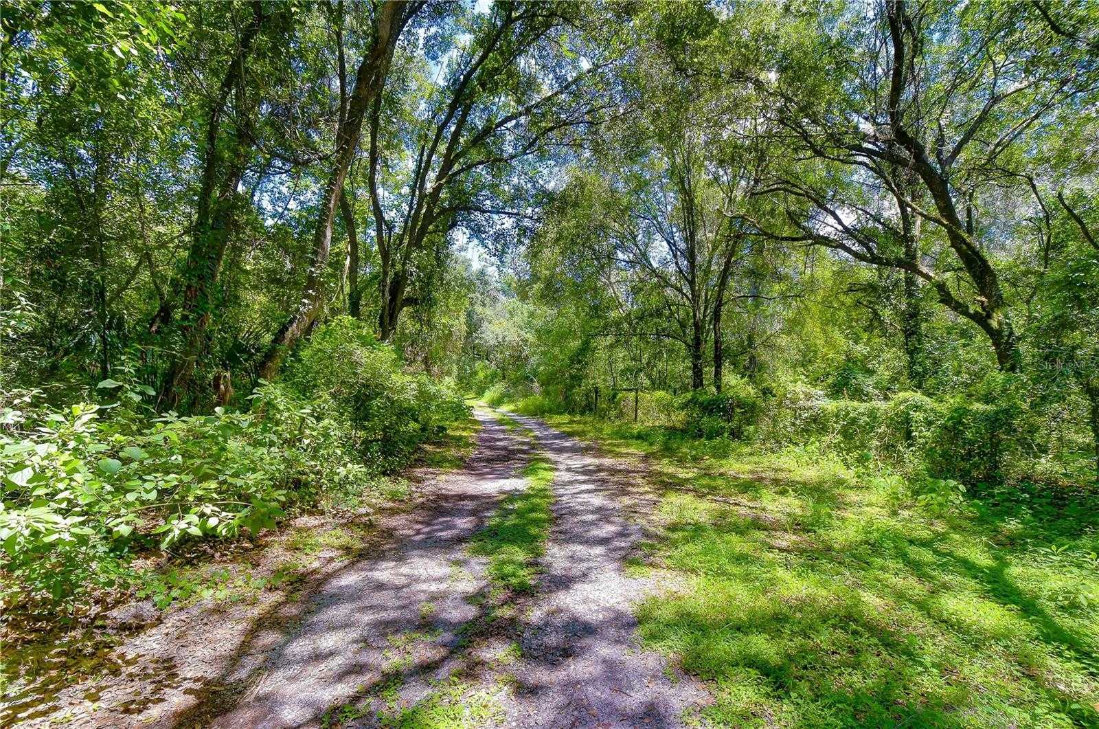 3801 PATE ROAD Zephyrhills Florida United States, for Sale, commercial, Sunny Sidhu, RE/MAX Premier Group