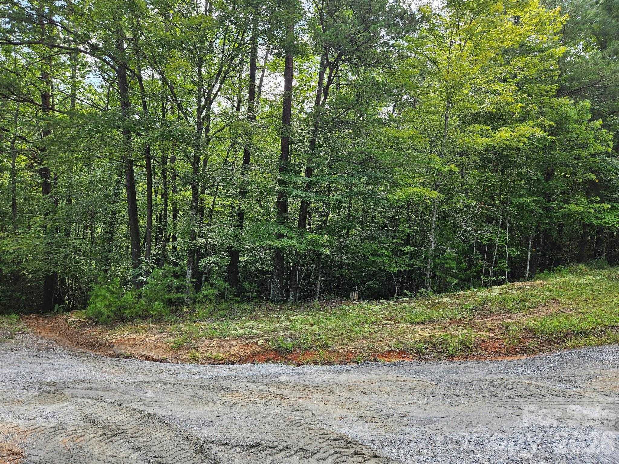 Hawks Terrace APT 313 Lake Lure North Carolina United States, for Sale, commercial,  , 4 Seasons Homes and Land Inc.